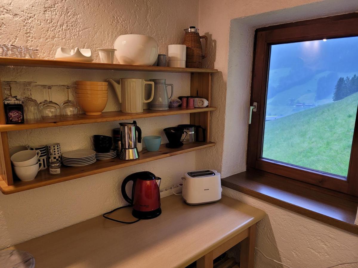 Haus Bergleiten Daire Alpbach Dış mekan fotoğraf